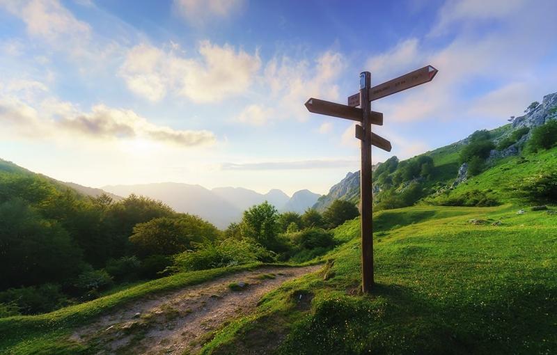 Unenrolled Deed Poll vs Enrolled: Which One is Right for You?