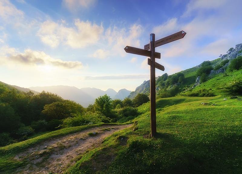 Unenrolled Deed Poll vs Enrolled: Which One is Right for You?